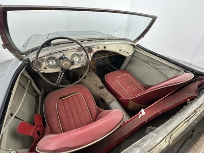 Lot 126 - 1955 Austin Healey 100