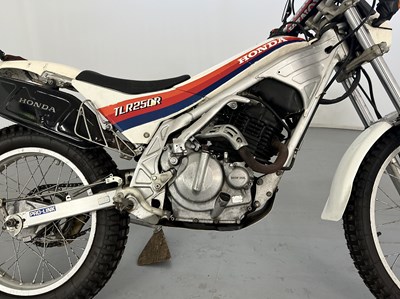 Lot 145 - 1986 Honda TLR 250R