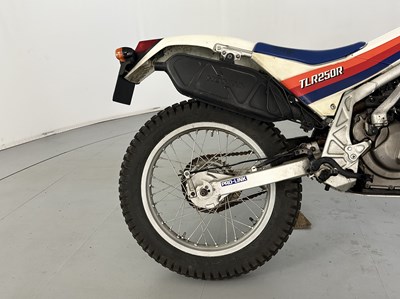 Lot 94 - 1985 Honda TLR 250R