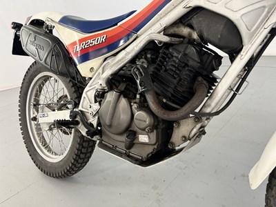 Lot 94 - 1985 Honda TLR 250R