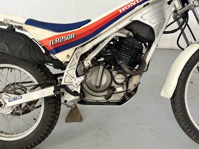 Lot 94 - 1985 Honda TLR 250R