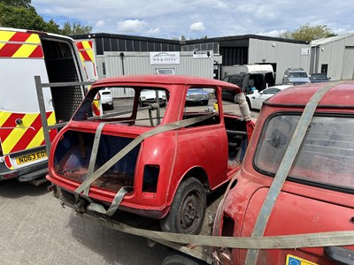 Lot 10 - Pair of Minis and trailer - NO RESERVE