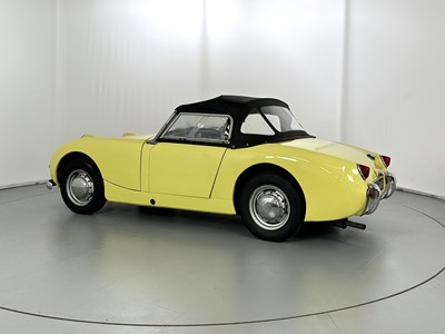 Lot 37 - 1959 Austin Healey Sprite