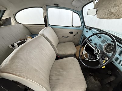 Lot 11 - 1967 Volkswagen Beetle - NO RESERVE