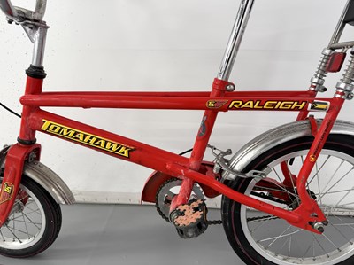 Lot 34 - Raleigh Tomahawk - NO RESERVE