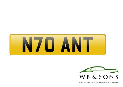 Lot Registration - N70 ANT