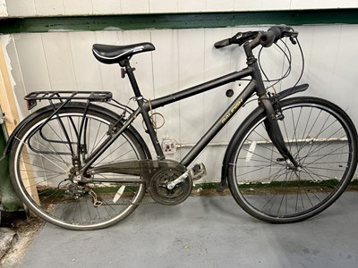 Lot 125 - Raleigh Pioneer Pedal Bike - NO RESERVE