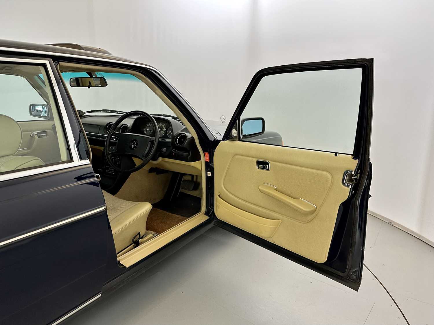 507-17-medium.jpg?v=63830388901243