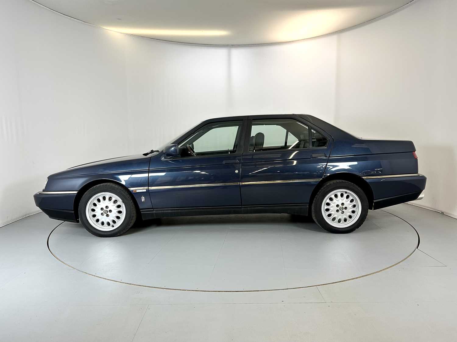 595-26-medium.jpg?v=63831686891373